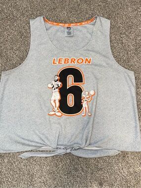 Space Jam LeBron James and Lola Bunny Graphic Tie-Front Tank - Gray & Orange